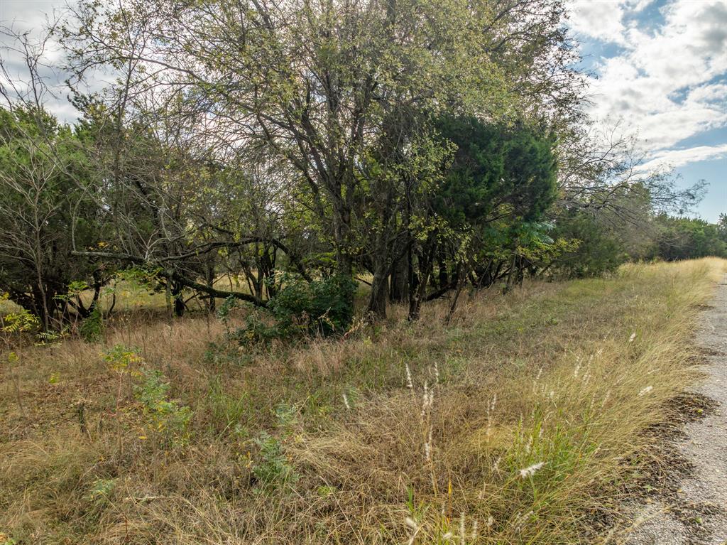 White Bluff #38 - Land