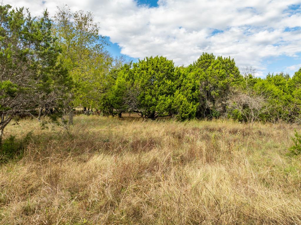 White Bluff #38 - Land