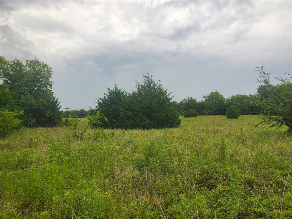 A0307 FRY BENJAMIN F, TRACT L7, ACRES 32.79 - Land