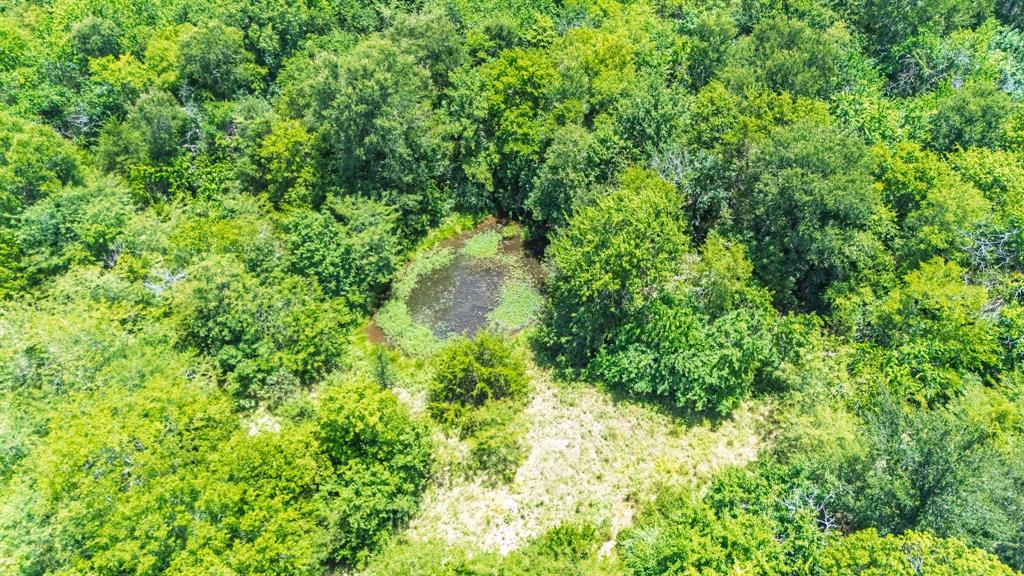 A0307 FRY BENJAMIN F, TRACT L7, ACRES 32.79 - Land