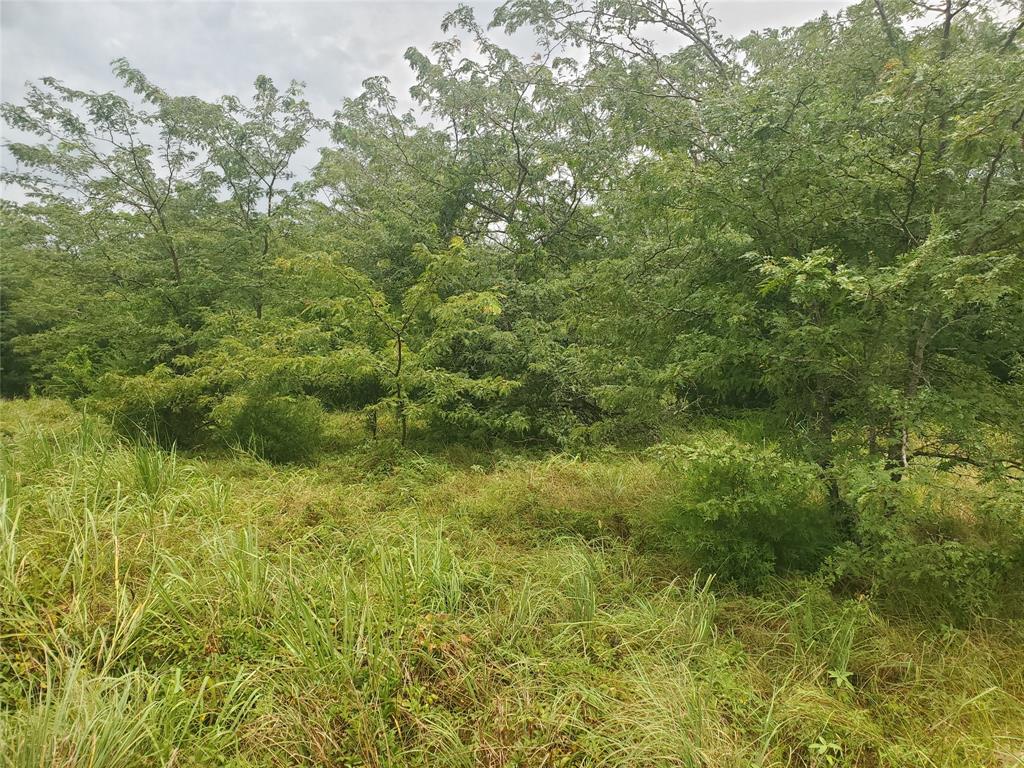 A0307 FRY BENJAMIN F, TRACT L7, ACRES 32.79 - Land