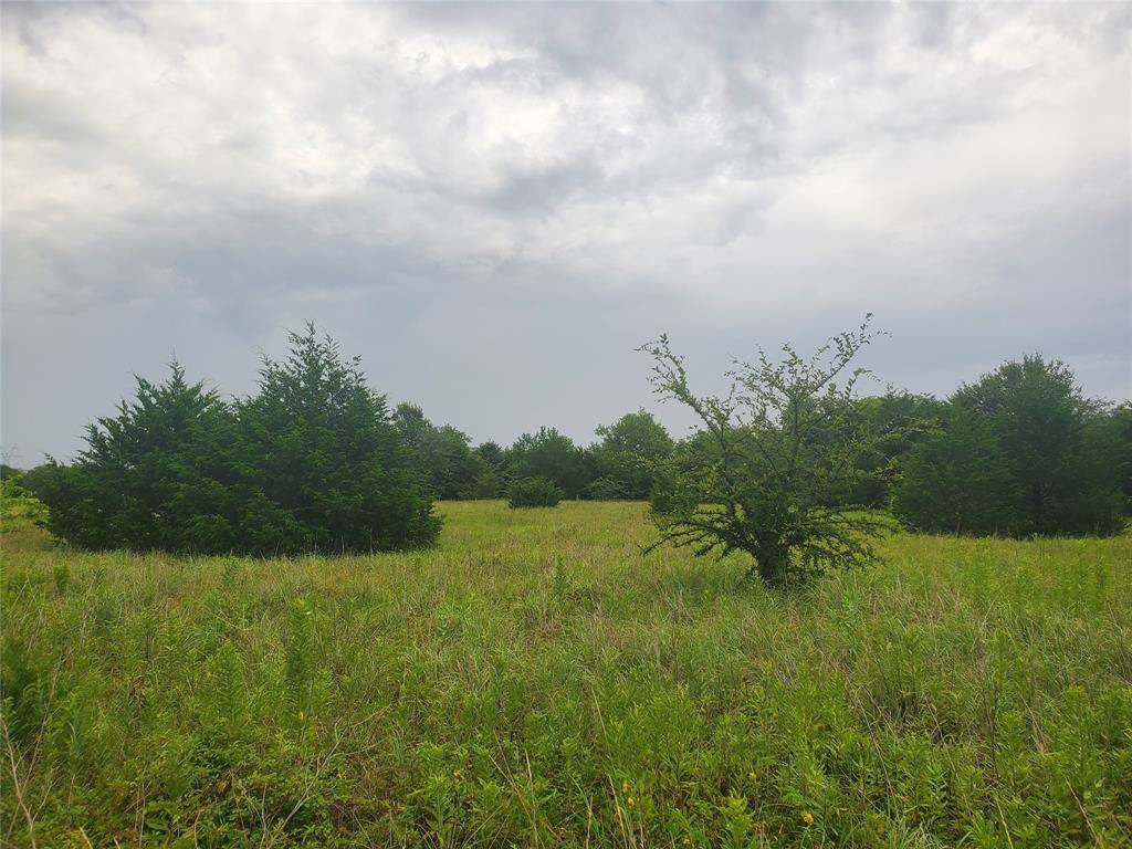 A0307 FRY BENJAMIN F, TRACT L7, ACRES 32.79 - Land