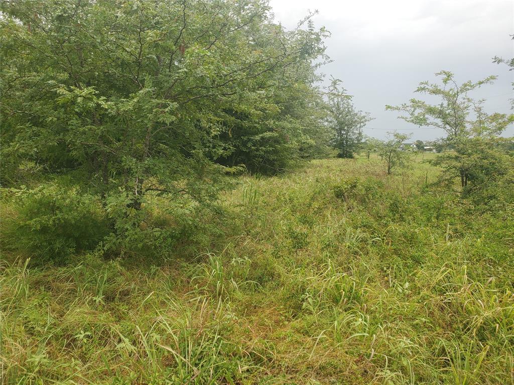 A0307 FRY BENJAMIN F, TRACT L7, ACRES 32.79 - Land