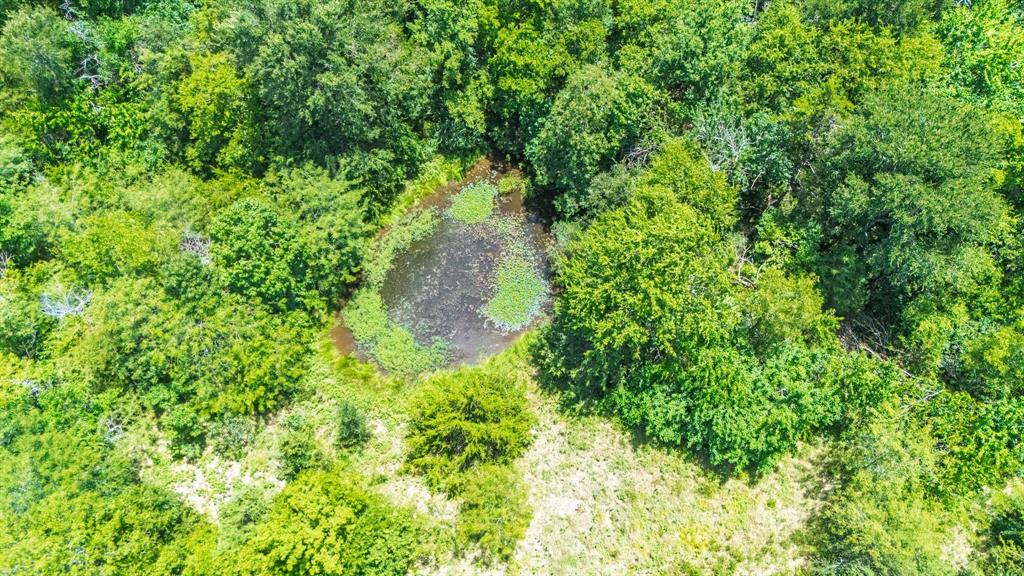 A0307 FRY BENJAMIN F, TRACT L7, ACRES 32.79 - Land