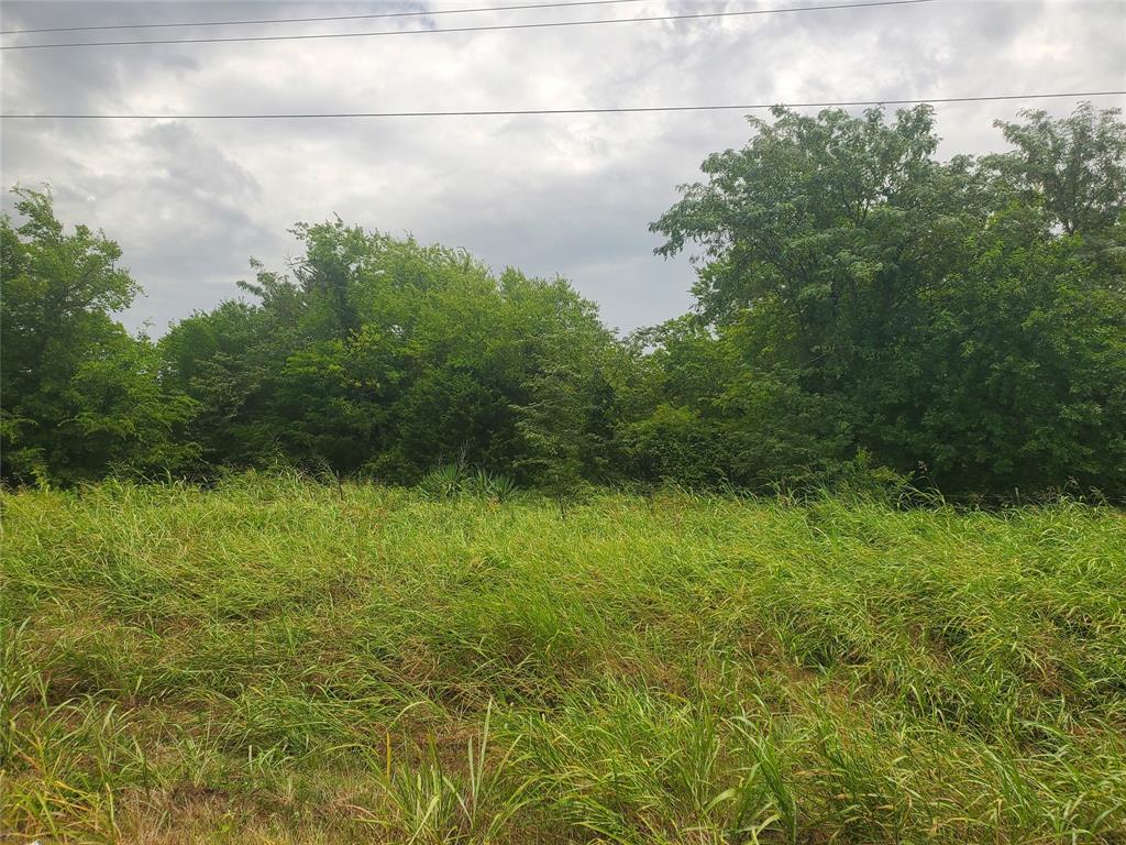 A0307 FRY BENJAMIN F, TRACT L7, ACRES 32.79 - Land