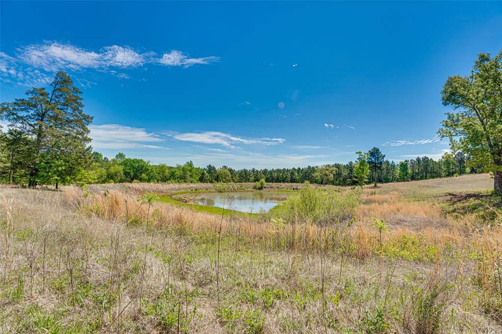 ABST A0940 E STEPHENSON TRACT 2 - Land