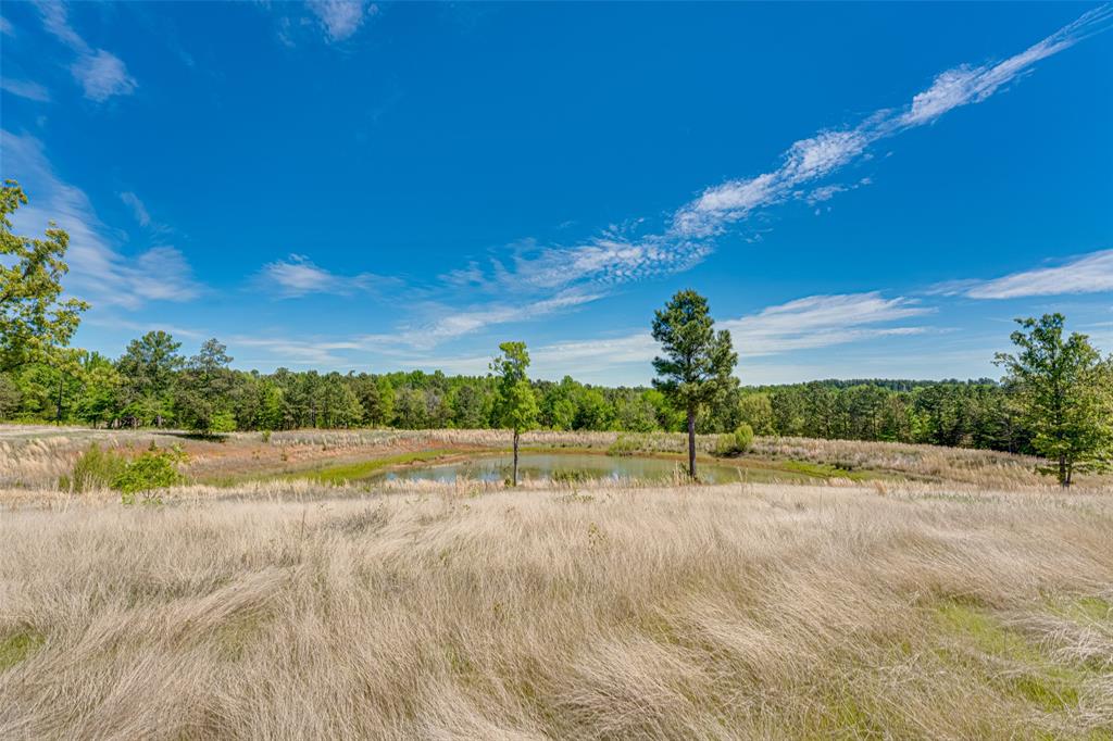 ABST A0940 E STEPHENSON TRACT 2 - Land