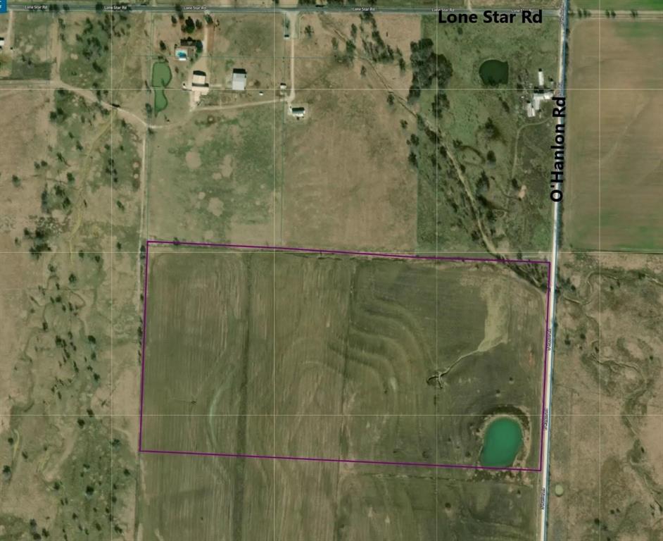 Motivated seller. An investment opportunity to own over 50 acres. NO RESTRICTIONS. 

The property is less than 3 miles from the proposed route of the Dallas North Tollway Extension. And, is 14 miles from the city of Sherman.
The property is fully fenced on the exterior with pipe fencing. The property has a tank. Overhead electric power lines are at the road frontage.
O'Hanlon Rd is asphalted from Sherman Dr to Lone Star Rd.

Water line exists north of Lone Star Rd and can be extended upto the property. Two Way Special Utility District manages the water service.  www.twowaysud.com