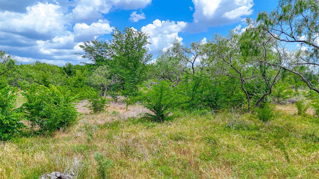 Wolf Ranch - Land