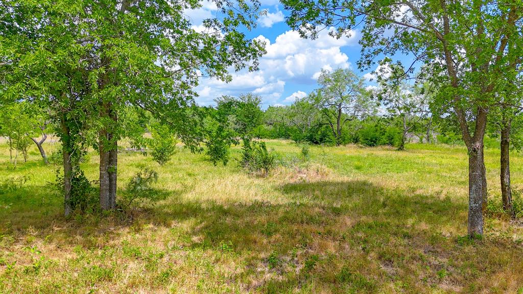 Wolf Ranch - Land