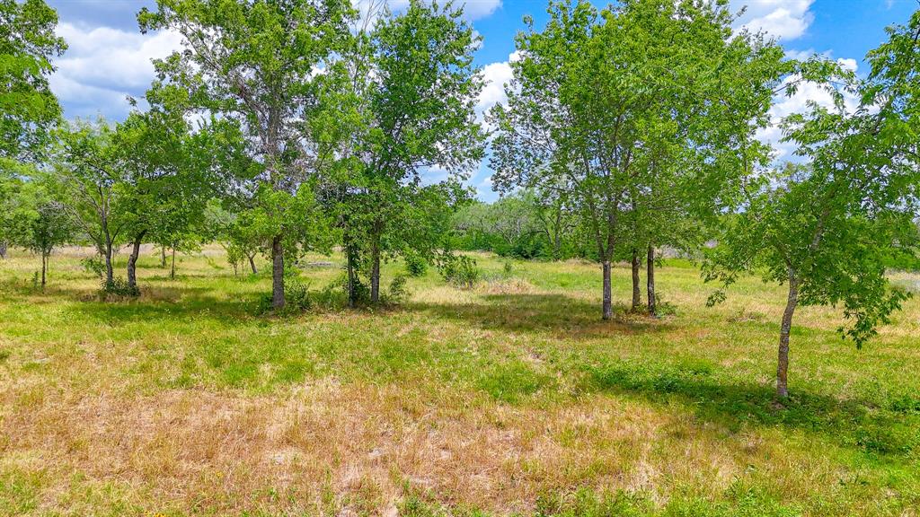 Wolf Ranch - Land