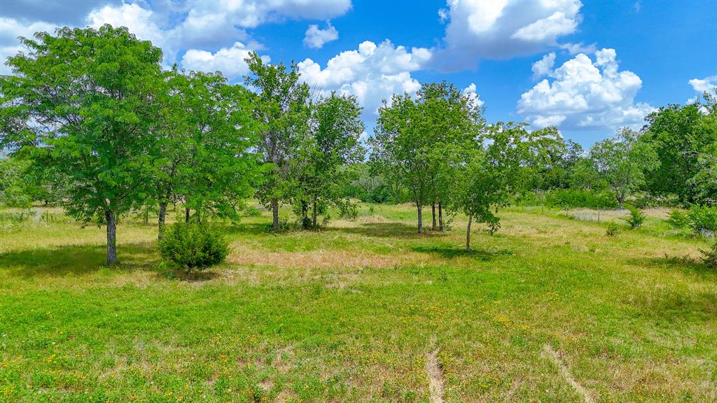 Wolf Ranch - Land