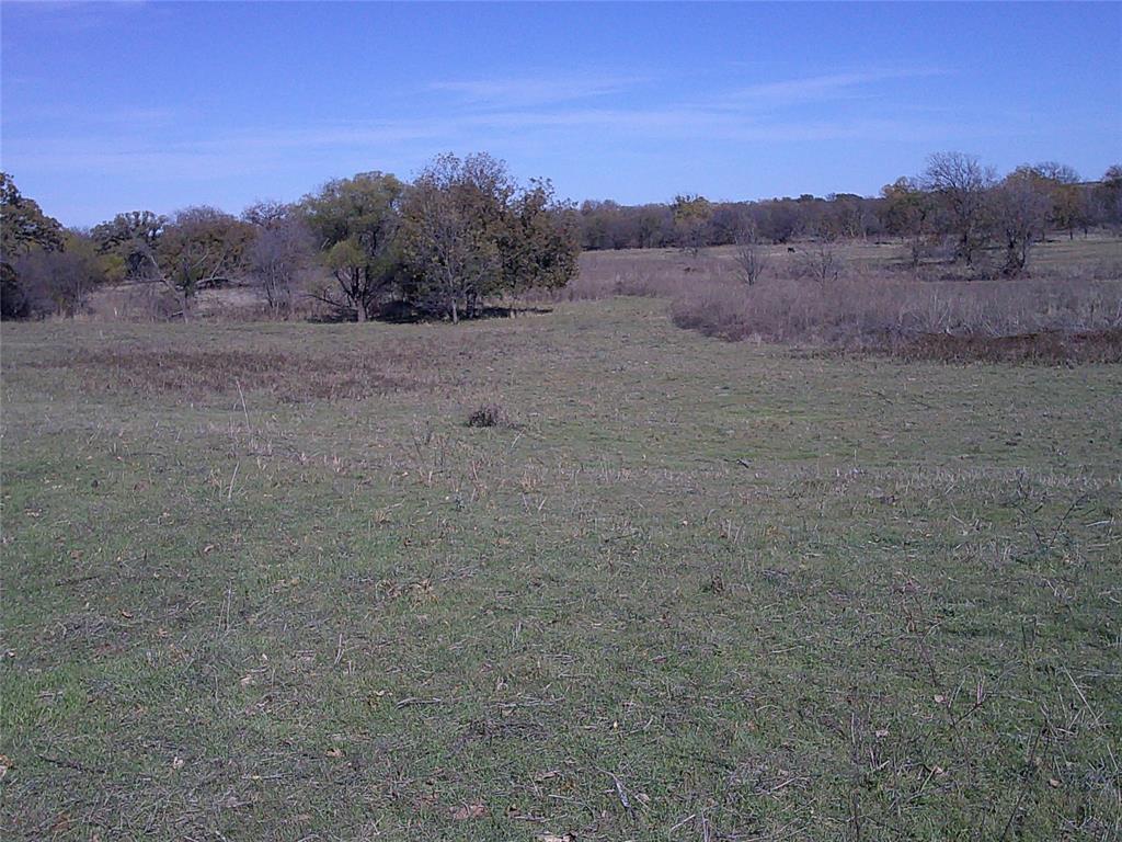 Pecan Acres - Land
