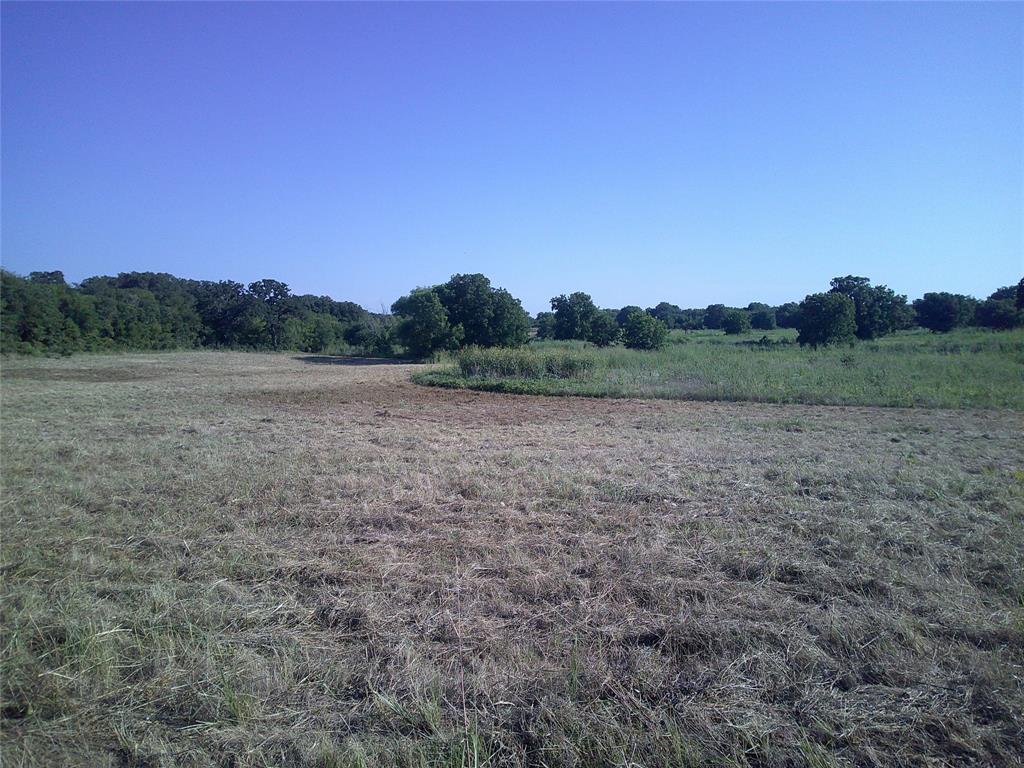 Pecan Acres - Land