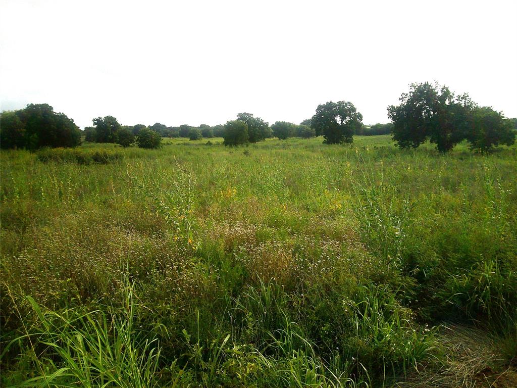 Pecan Acres - Land