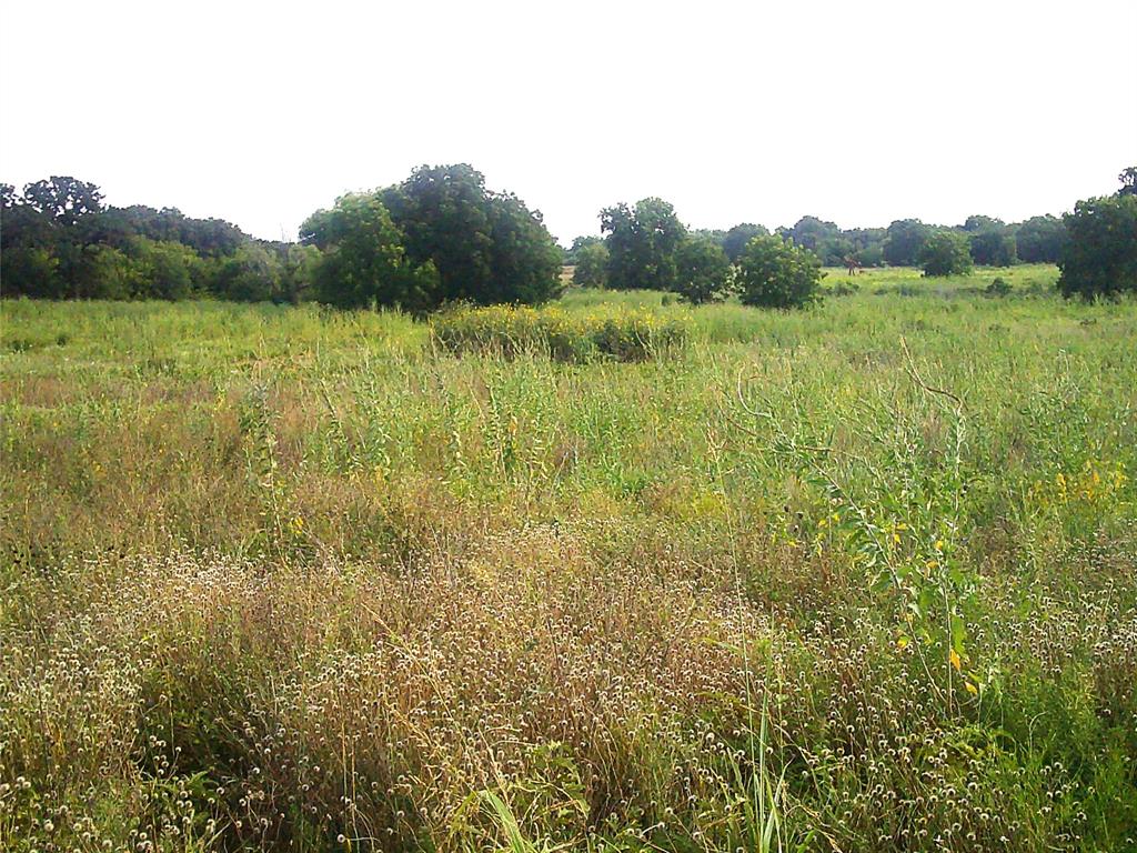 Pecan Acres - Land