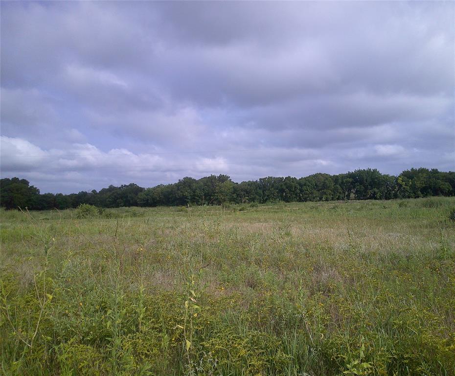 Pecan Acres - Land