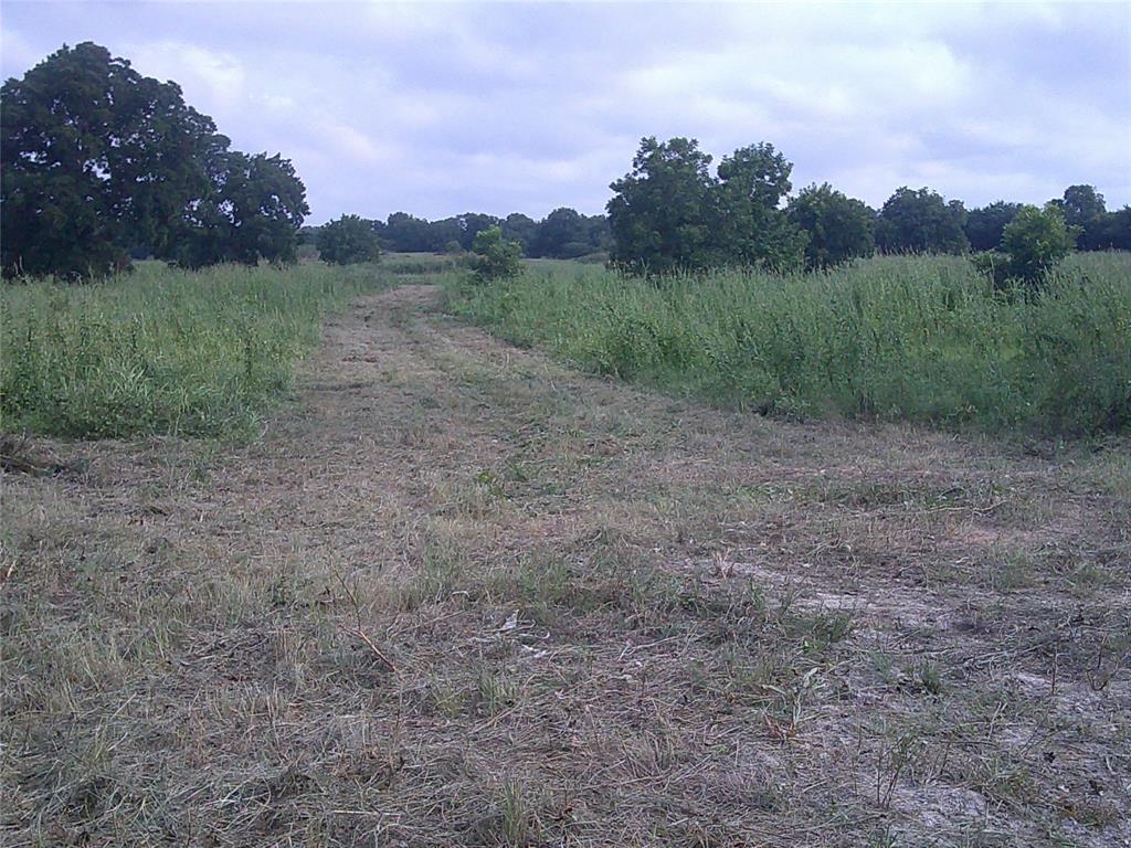 Pecan Acres - Land