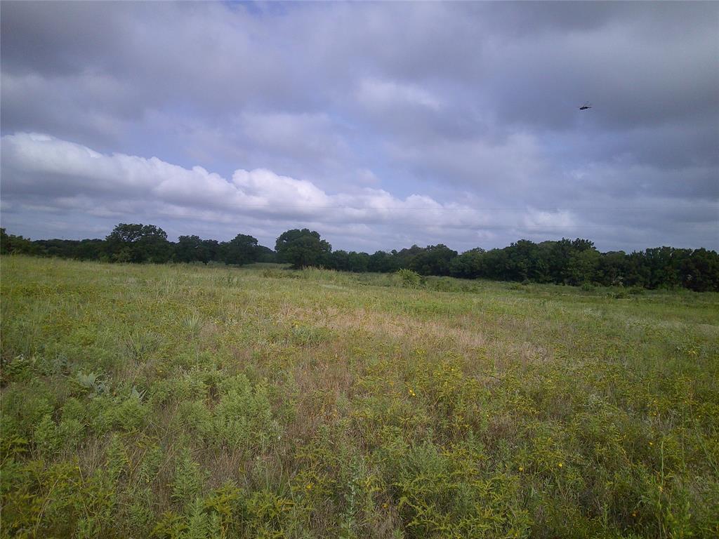 Pecan Acres - Land