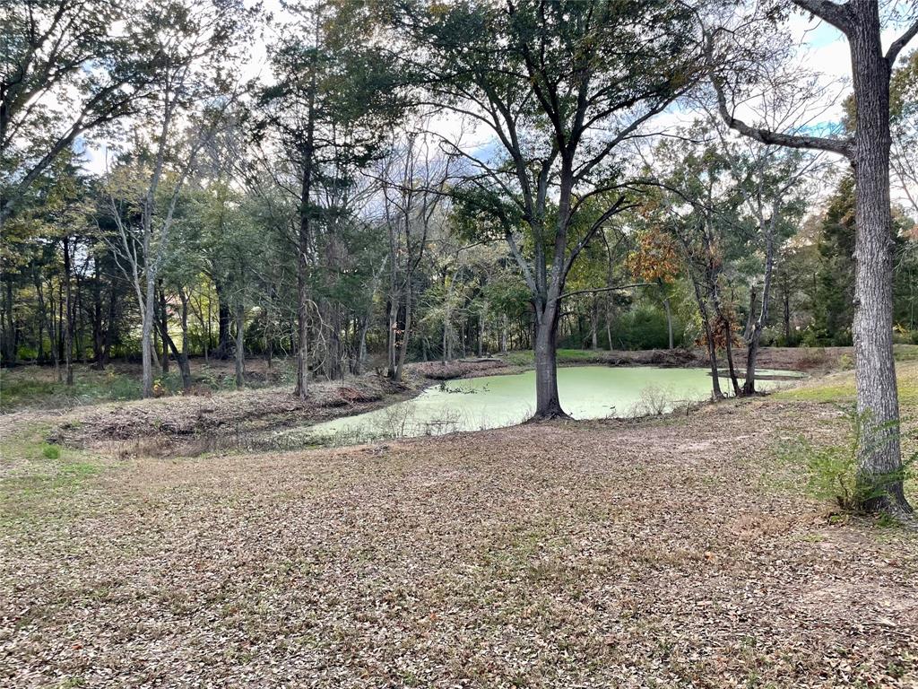 Sulphur Springs - Land