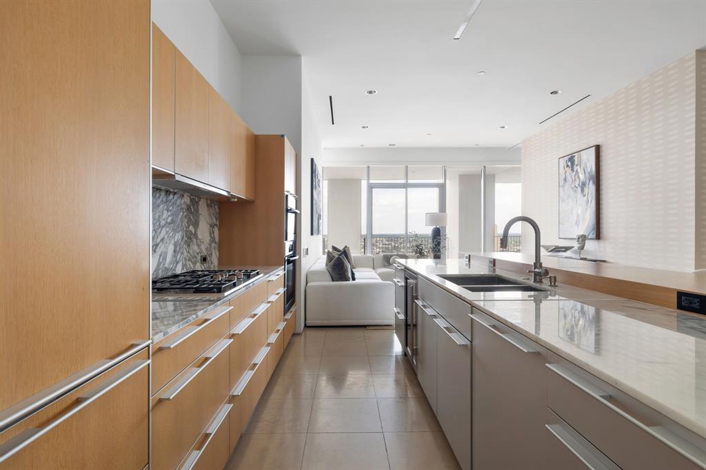 One Arts Plaza Condo - Residential