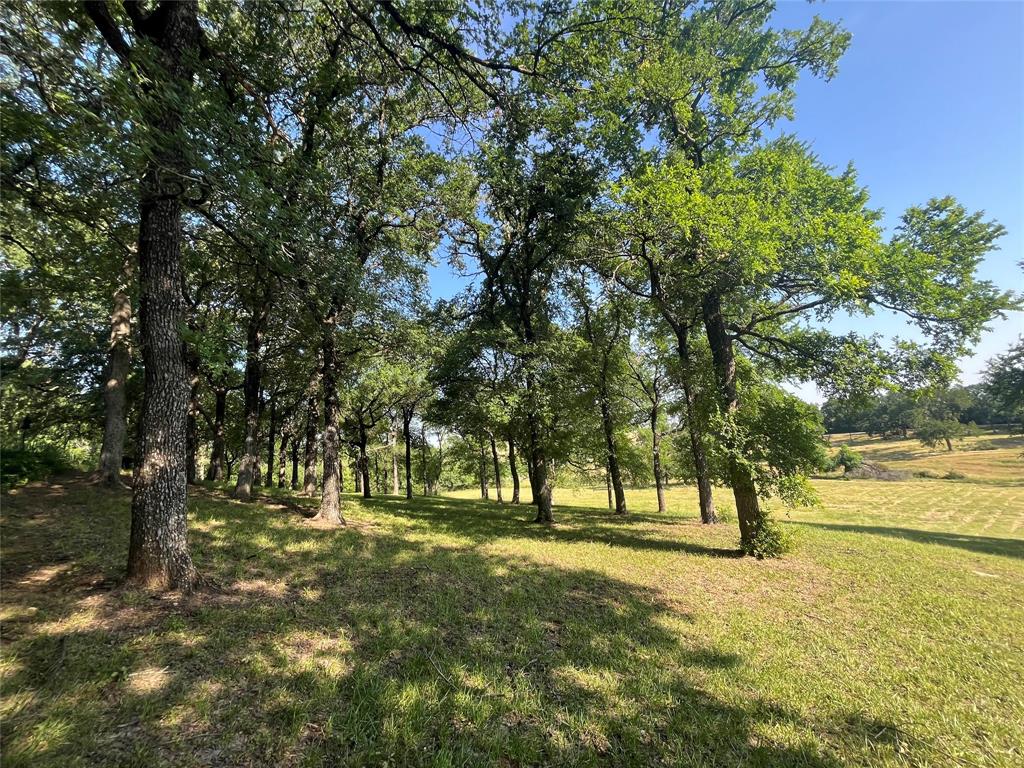 Jackson - Residential
