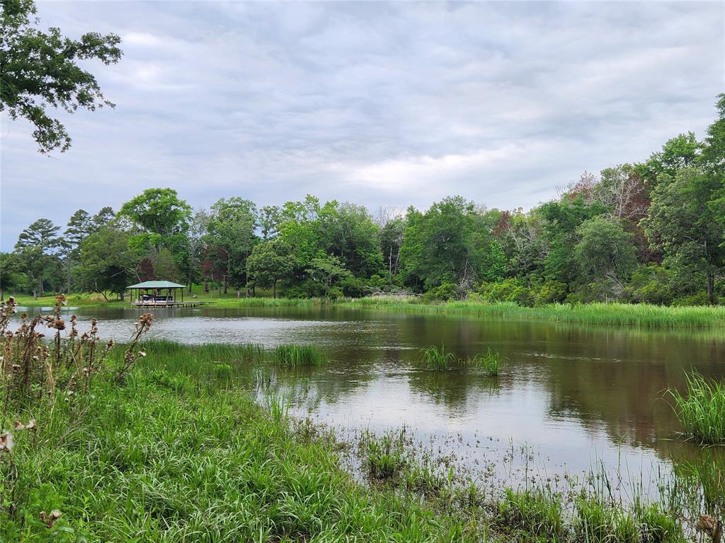 Safari Waters Ranch - Land