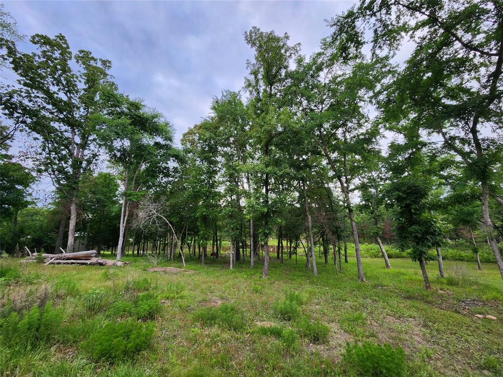Safari Waters Ranch - Land