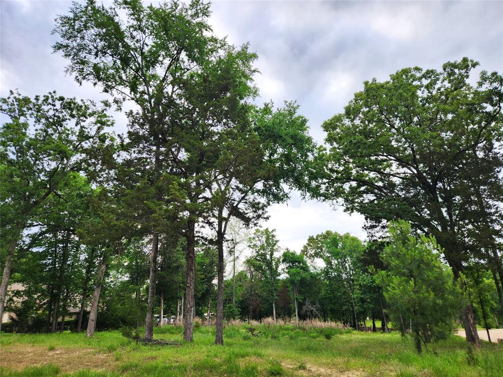 Safari Waters Ranch - Land