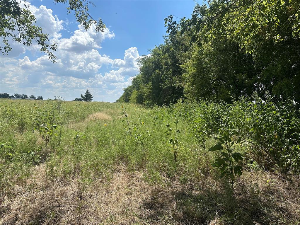 Whitewright Ranch Estates - Land