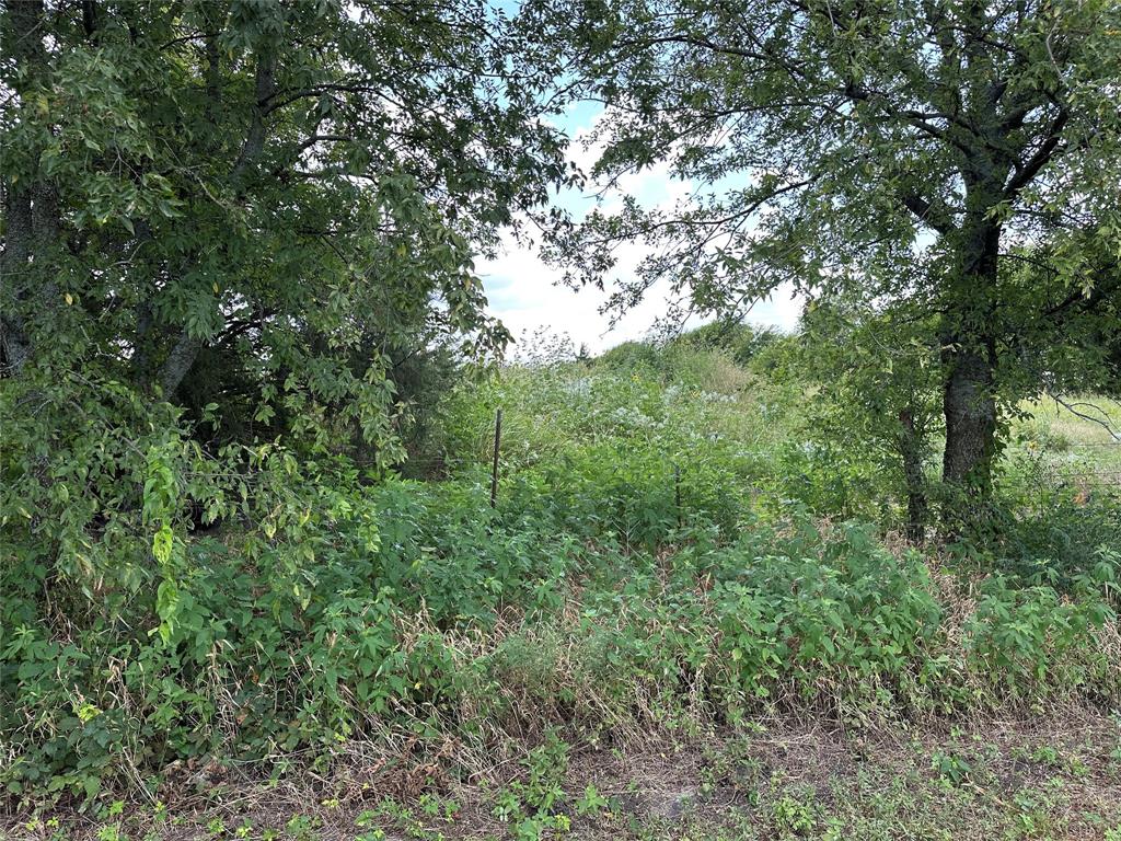 Whitewright Ranch Estates - Land