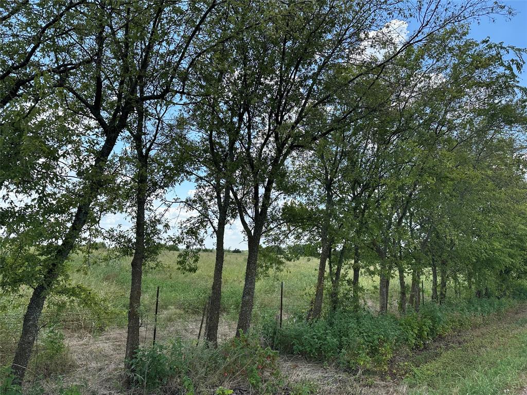 Whitewright Ranch Estates - Land