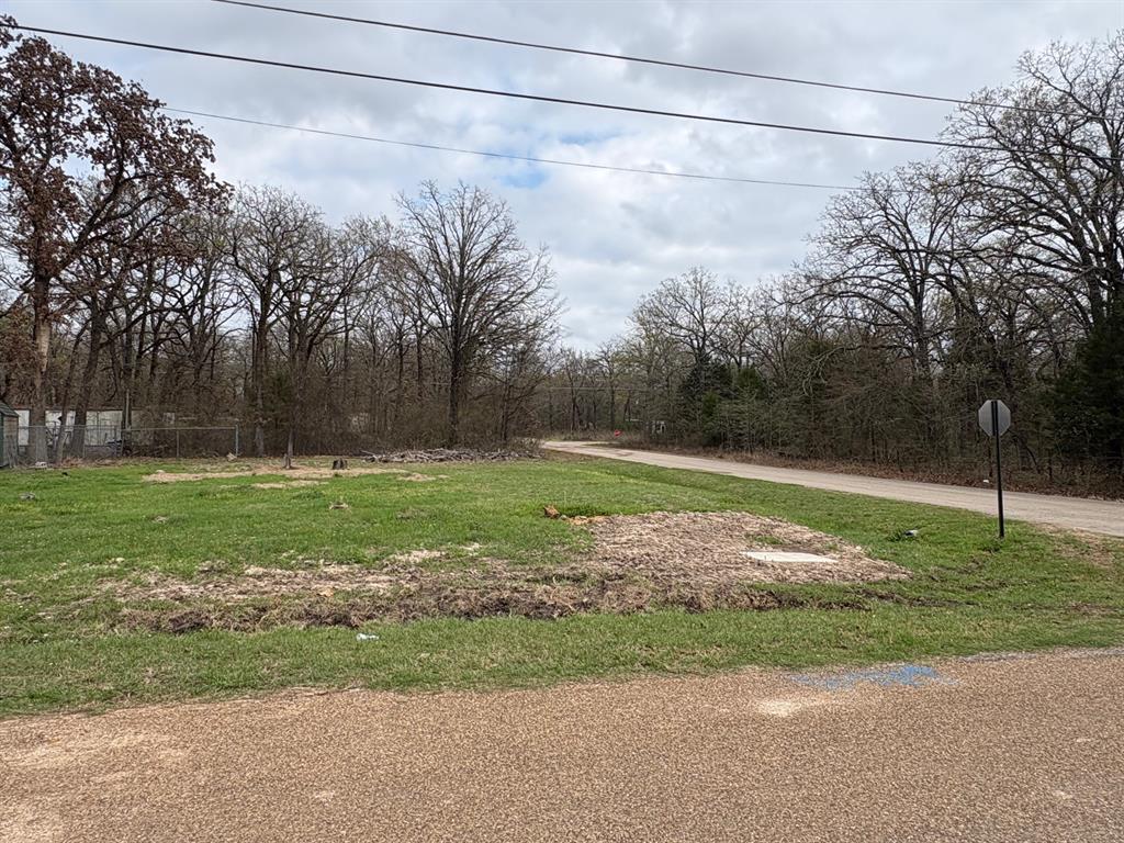 Come grab your secluded corner lot in East Texas!  Ready for you to come build your home just east of Cedar Creek Lake.  Bring your vision to life with building your own home.  Just a short walk to the lake.  Make this your next stop in life!!