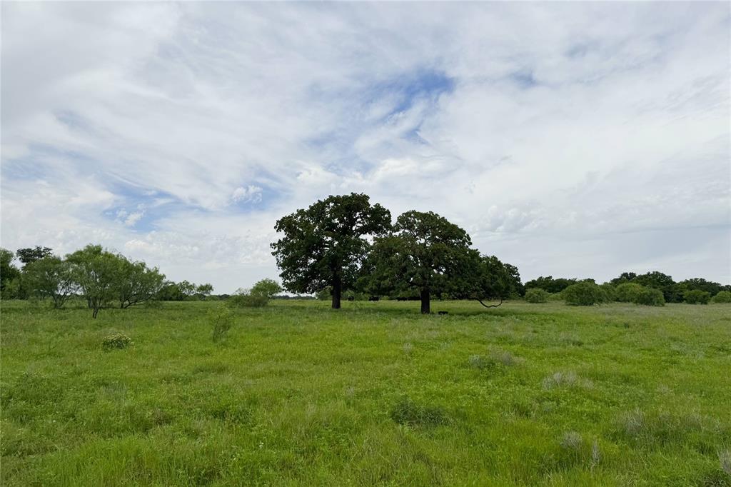 This 320 +or- acre ranch lies in both Clay and Jack Counties, between Shannon and Antelope. It has a fenced perimeter and three cross fenced pastures. The front pasture has native grasses; the middle pasture has some improved coastal. The back pasture is mostly mature post oaks and rises up a 40 ft slope to a hill in the corner. The land has paved road frontage on FM 175 and is within a five minute drive to both Hwy 148 (to Henrietta-Jacksboro) and Hwy 281 (to Wichita Falls-Jacksboro).

4 ponds provide water for livestock, with at least one in each pasture. The front pasture also has access to a water well, which is for the house. This house is in need of a complete gut job and adds minimum value to the overall value of the property; a trailer house is also on site that is not in good condition either. The utilities are in place here though – water well, electricity and septic system. A metal barn is also on site.

The Richardson Ranch is suitable for both cattle ranching AND hunting, with grazing in the first two pastures and hunting in the back oaks. Whitetails here can get bulky, with the native feed from the acorns and browse.

Because the ranch is in 2 counties, it provides access to both Midway and Jacksboro ISD schools. The land is ag exempt for taxes. No flood zone or deed restrictions in place. Surface estate only, no minerals to convey. One active oil well and its tank batteries are in the southwest corner of the property; the well operator has a separate entrance to use from the main ranch entrance.

The land doesn’t appear to have any pipeline or transmission line easements, however the neighbor on the northwest side has an access easement along the west fence going to their property, which runs approximately halfway down the property line. The access easement uses the same gate as the well operator.

This is a nice ranch, very peaceful and quiet. With some clean up, it would make a nice place to build a new home.

LIST PRICE: $6,750 per acre