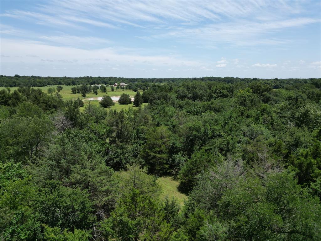 Tucked away in the peaceful countryside of Sulphur Springs, this beautiful 3-acre tract offers the perfect blend of seclusion and convenience. Located within the desirable North Hopkins ISD, this partially wooded property provides a serene, private setting ideal for building your future dream home. Enjoy the quiet atmosphere and natural surroundings while still being less than 20 minutes from downtown Sulphur Springs, where you'll find shopping, dining, and entertainment. Whether you're looking for a weekend retreat or a full-time residence, this property presents a unique opportunity to own a piece of East Texas charm. Don’t miss out on this rare find—schedule your showing today!