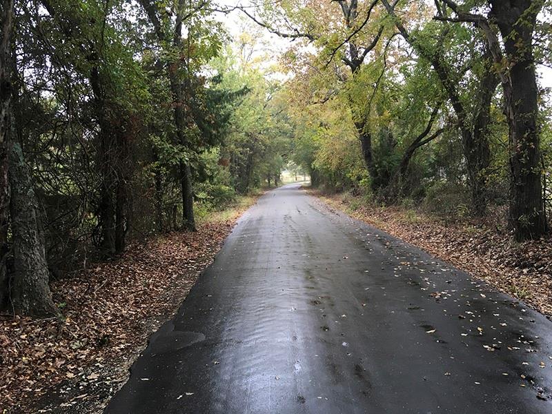 8.4 Acres of undisturbed Texas beauty near one of the Lone Star State's great fishing destinations! This property is located just outside of the Emory city limits and halfway between Lake Fork and Lake Tawakoni. There are many mature trees and opportunities to design a landscape that makes your country living dreams come true! 

This property also presents an opportunity for developers to subdivide and place multiple manufactured homes for maximum ROI!
Utilities are available nearby, no restrictions!

Property is located near the intersection of CR3060 and CR3150.