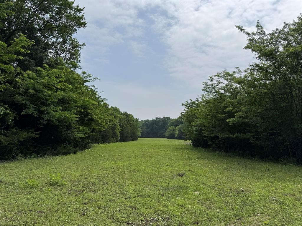 Jesse Stiff Survey - Land