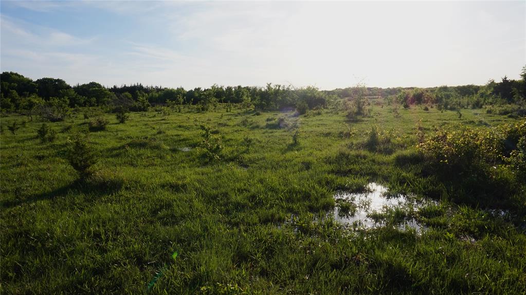 The Preserve at Buchanan Place Phase 1 - Land