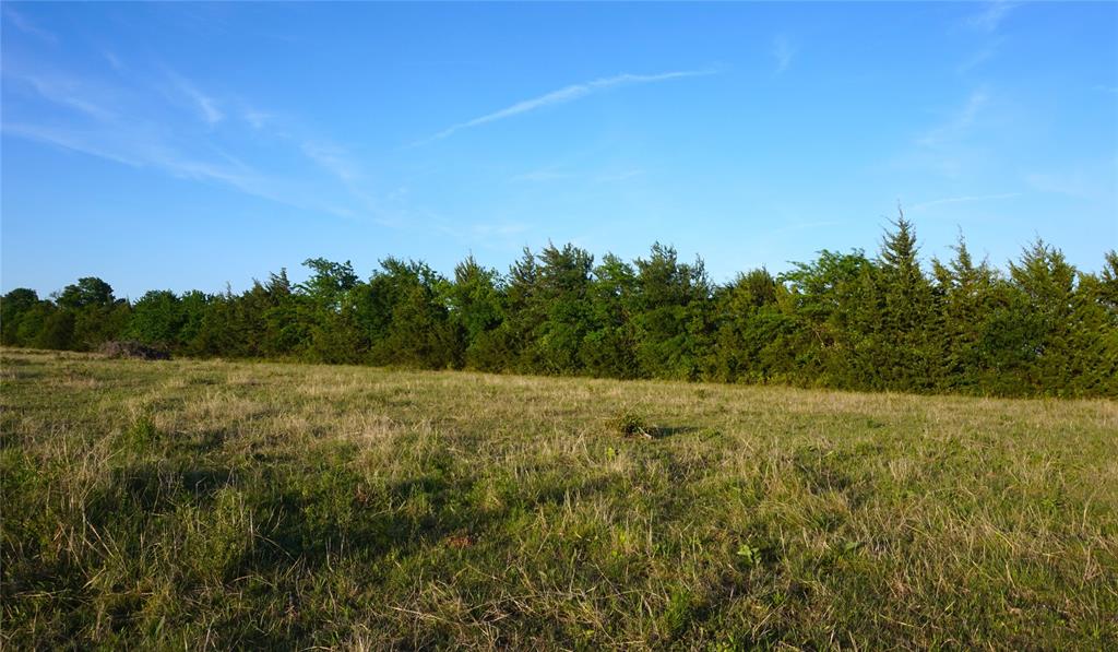 The Preserve at Buchanan Place Phase 1 - Land