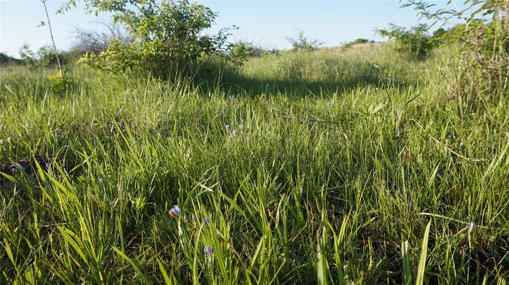 The Preserve at Buchanan Place Phase 1 - Land