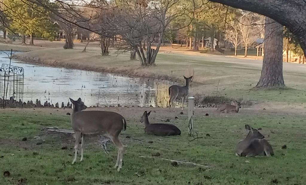 Holly Lake Ranch - Residential