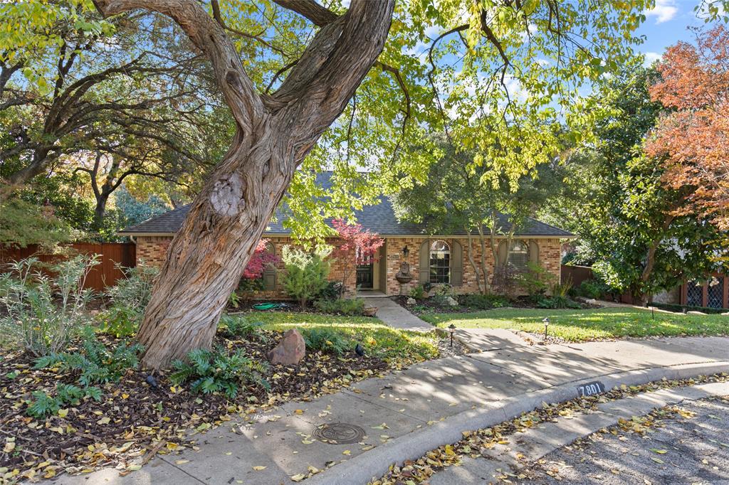 Moss Meadows - Residential