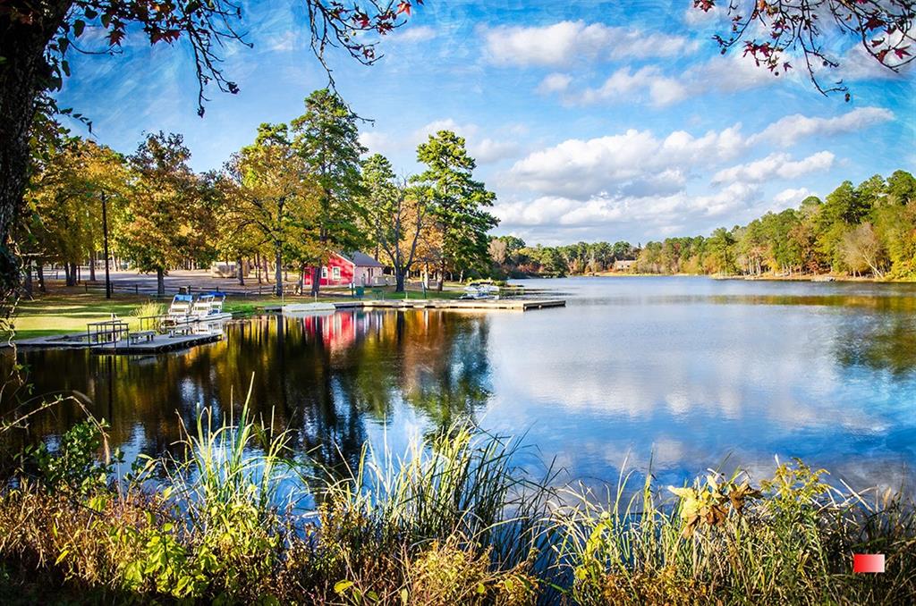 Holly Lake Ranch - Residential