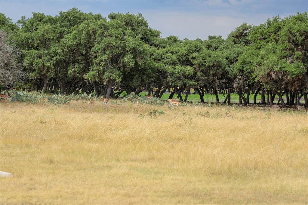 Rocksprings - Farm