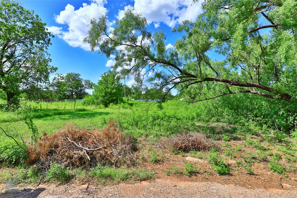 Big Elm Add - Land