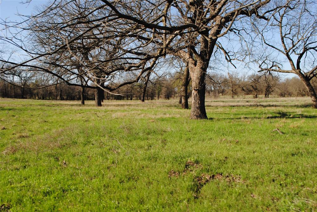Hazeldell - Land