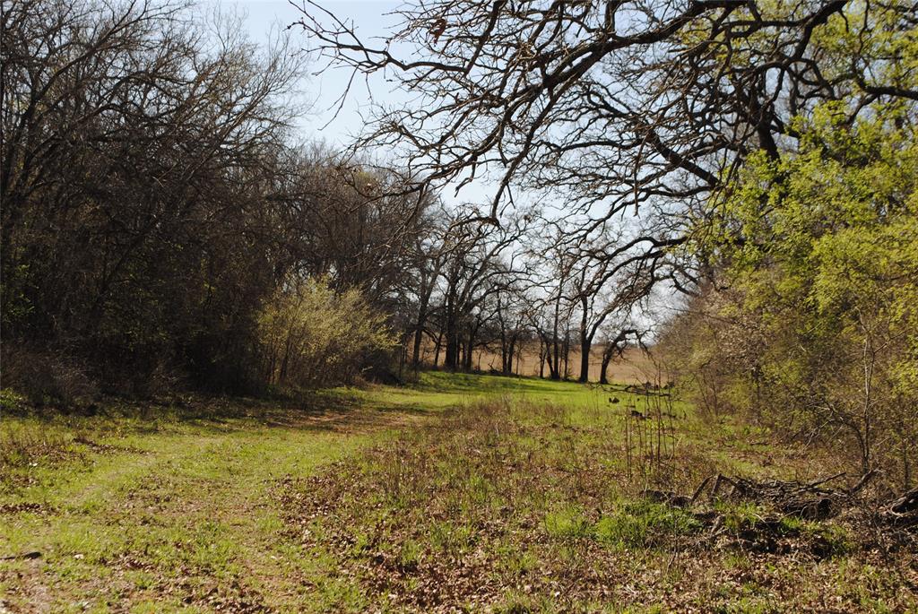 Hazeldell - Land