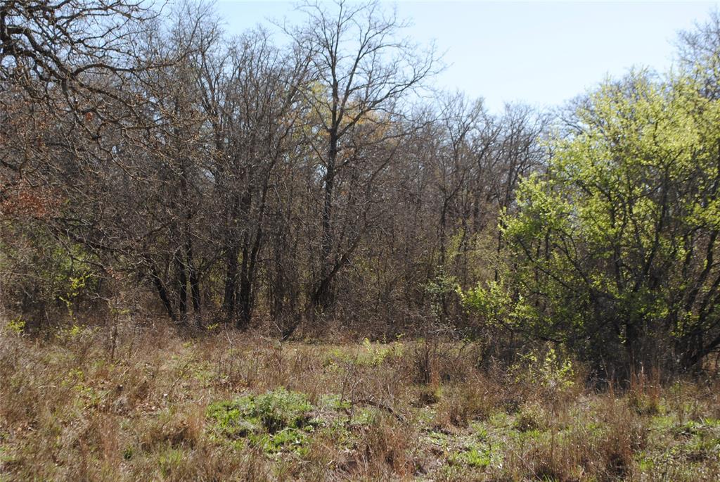 Hazeldell - Land