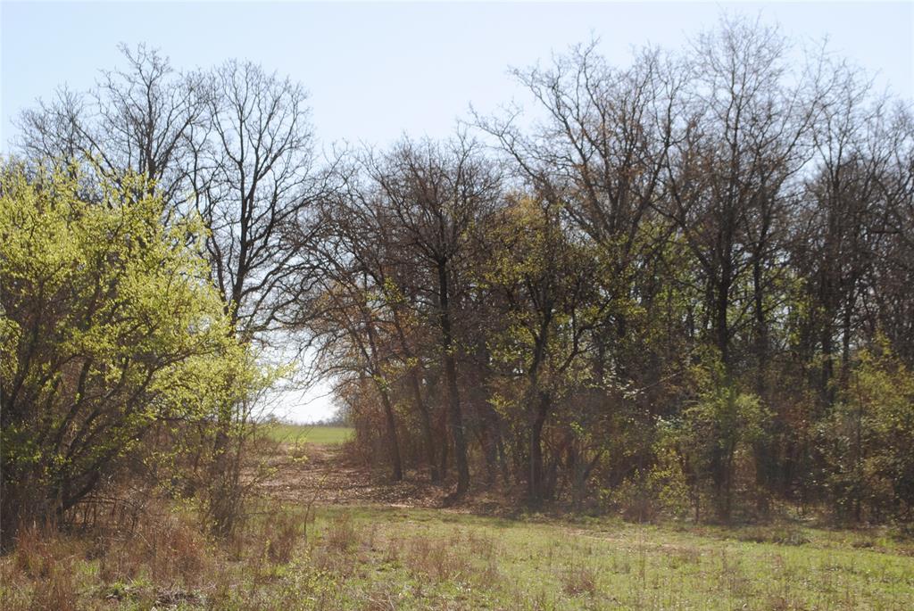 Hazeldell - Land