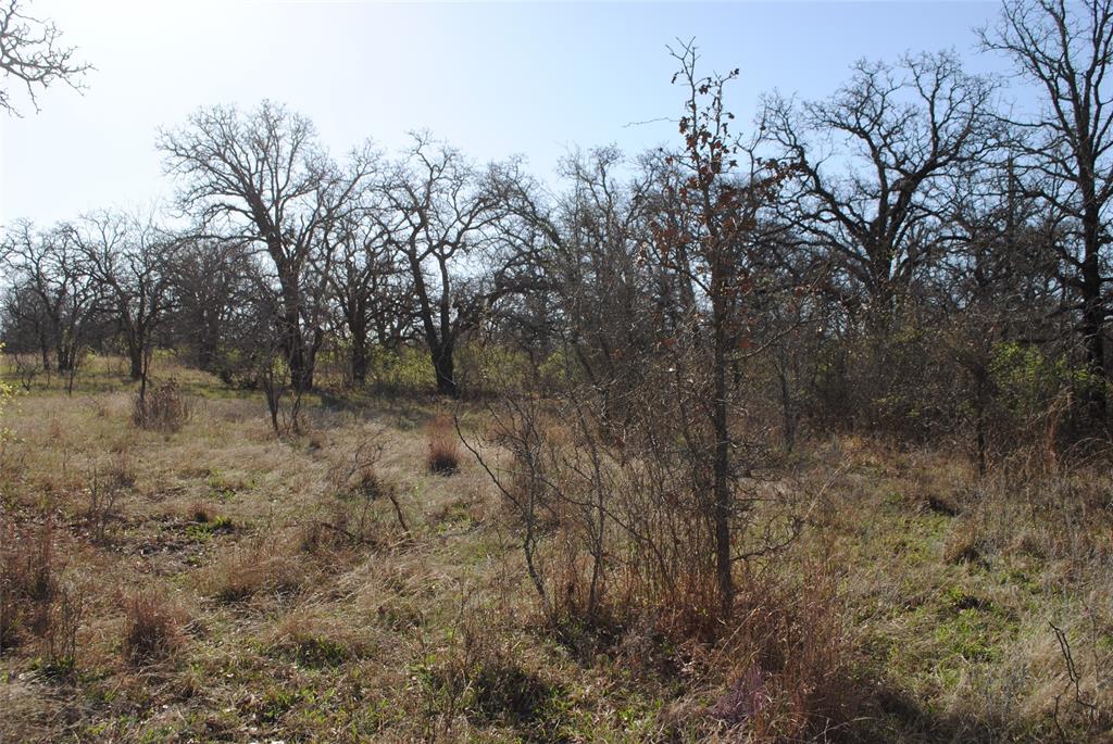 Hazeldell - Land
